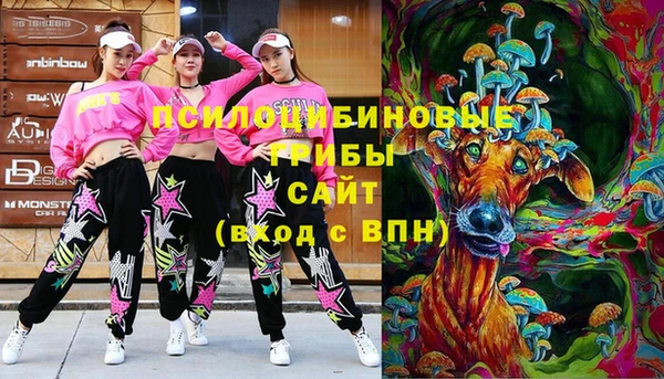 мескалин Вяземский